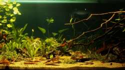 Aquarium Rio Formoso