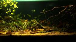 Aquarium Rio Formoso