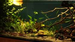 die Sonne geht langsam unter...