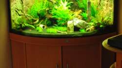 Aquarium Juwel Trigon 190