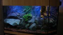 Aquarium Perspektive (18.06.2012)