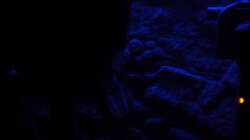 Mondlicht Simulation (7)