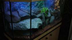 Aquarium Perspektive (18.06.2012)