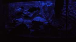 Mondlicht Simulation (1)