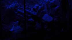 Mondlicht Simulation (3)