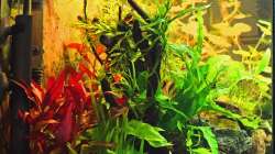 Eheim Installationsset 1 & 2 sowie OFA Komfort Oberflächenabsauger / Seitenansicht