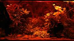 Sunrise-Anlage - Phase 2 Sonnenuntergang - ??bergang von Gelb in Rotphase  (hab versucht