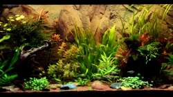 Gesamtansicht am 15-12-2012