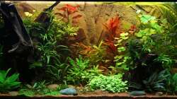 Gesamtansicht am 23-08-2012