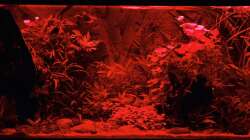 Sunrise-Anlage - Phase 3 Sonnenuntergang - Rotphase (ist in Wriklichkeit einen Tick