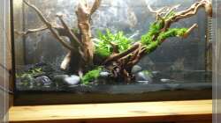 erste Pflanzarbeiten