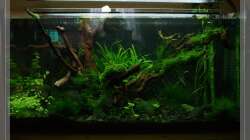 Gartenarbeiten 14.04.12