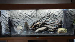 21.04.2021 Das Einrichten geht los.