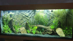 Die ersten Bewohner und noch mehr Pflanzen sind aus dem 54er ausgezogen.