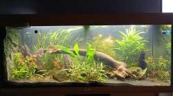 15.03.2022 Mal stark gegärtnert.