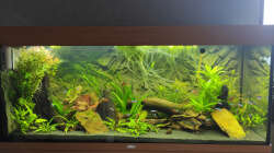 22.05.2021 Anpassungen an Bepflanzung und Besatz