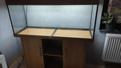 18.04.2021 Aquarium ist gereinigt und steht an seinem Platz.