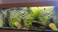 28.04.2021 Die Bakterienblüte ist vorbei.