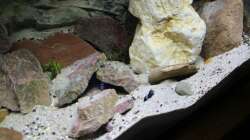 eine Menge Höhlen zum Verstecken