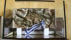 frisch eingeklebte Rückwand