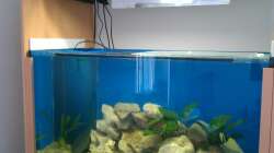 Einrichtung - Becken befüllt alt