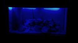 LED Nachtlicht (leider sehr verfälscht) alt