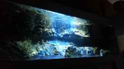 Aquarium Becken 22990 STEHT ZUM VERKAUF !!!