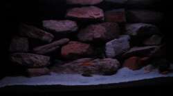 Dämmerung - 16.01.13