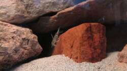 fast nicht zu fotografieren