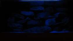 Nachtlicht - 15.01.13