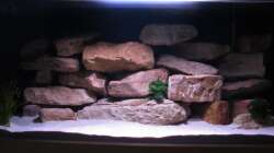 vor dem Einzug der Fische - Mai 2012