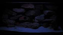 ??bergang zum Nachtlicht - 15.01.13