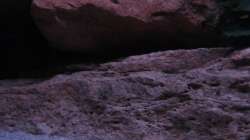 hier trifft sich der Nachwuchs