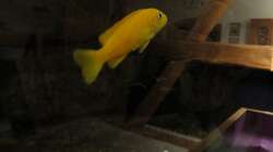 Blick ins Wohnzimmer