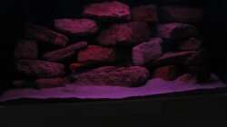 Was machen die beiden denn da im Morgengrauen?