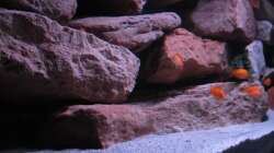 Fels von links - 17.01.13