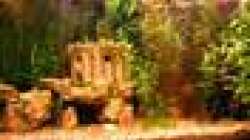 Dekoration im Aquarium Eck-Aquarium