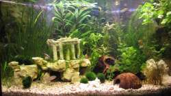 Aquarium Eck-Aquarium