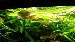 Bereich oben - links