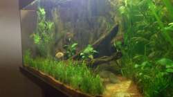 Grobe Kiesbrocken zur Trennung der Kiesschichten