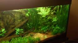 Rückzugsmöglichkeit für die Tiere