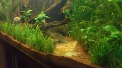 Grobe Kiesbrocken zur Trennung der Kiesschichten 2