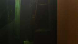 Versteckte Technik hinter dem HMF