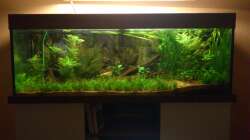 Aquarium Underwater Rainbows (Nurnoch Beispiel)