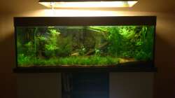 Aquarium Underwater Rainbows (Nurnoch Beispiel)