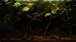 Gesamtansicht vom 27.06.2012