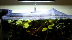 Technik im Aquarium kleines schwarzes