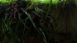 von der linken Seitenscheibe quer durchs Becken