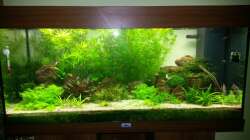 2 Monate nach Umbau...also aktuelles Bild...;-)