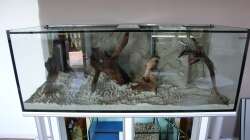 Die erste Deko ist drin :)